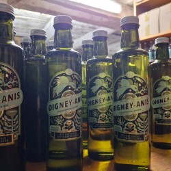 Oigney-Anis